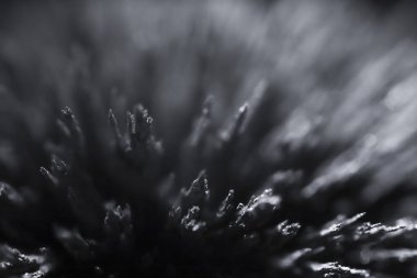 Demir tozunun manyetik alana tepkisi. Demir dolgu çivileri. Neodim mıknatısı. Manyetik alanın görselleştirilmesi. Aşırı detay. Soyut gelecek dokuları ve kalıpları.