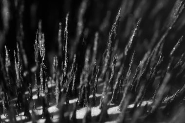 Demir tozunun manyetik alana tepkisi. Demir dolgu çivileri. Neodim mıknatısı. Manyetik alanın görselleştirilmesi. Aşırı detay. Soyut gelecek dokuları ve kalıpları.