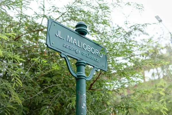 Kiraz Çiçekleri ve Kırmızı Fenerler Çin 'de Yeni Yıl Kutlaması