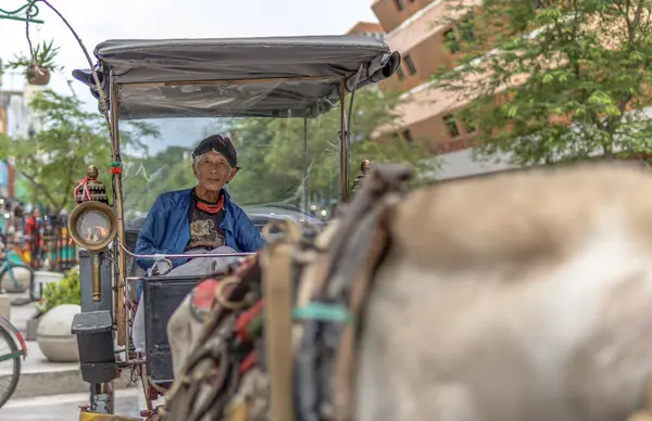 Geleneksel giyinmiş yaşlı bir adam Yogyakarta 'da at arabası kullanıyor.