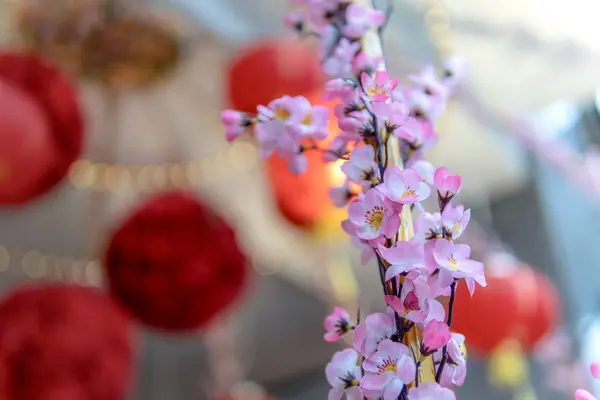 Kiraz Çiçekleri ve Kırmızı Fenerler Çin 'de Yeni Yıl Kutlaması