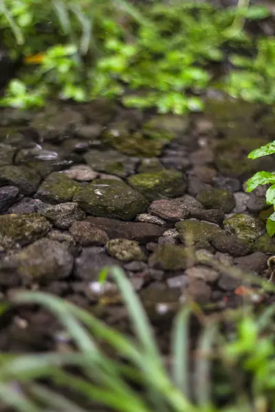 Kayalar ve yeşilliklerle dolu berrak bir su deresinin yakın görüntüsü.