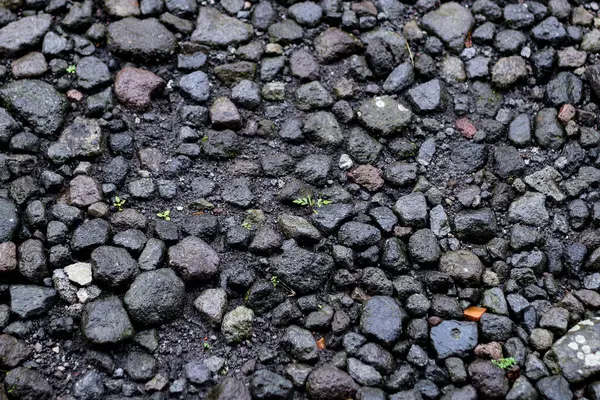 Islak Çakıl ve Kayalara yakın çekim