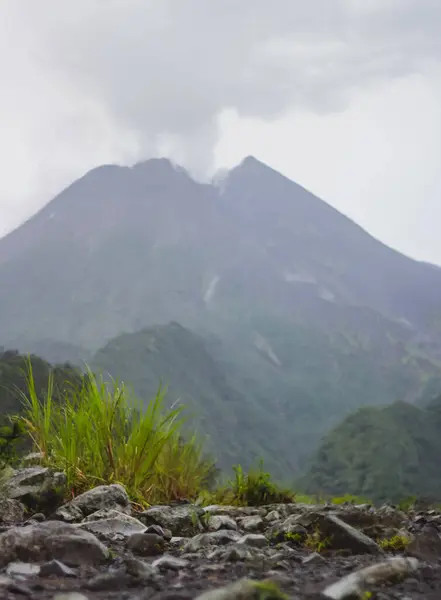 Endonezya 'da bulutla kaplı volkanik dağ manzarası.