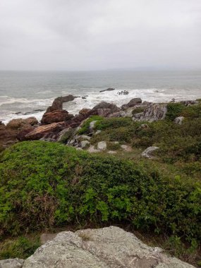 Gri gün, bulutlu gökyüzü, ufuk manzarası, dalgalı deniz, denizi istila eden yamaçtaki kayalar, kayalarla karışan yeşil orman..