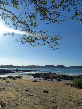 Strip of sand, rocks by the sea, blue sea and sky, hills on the horizon, small branches and green leaves  clipart