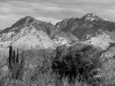Santa Catalina Dağları, Tucson, Arizona Çölü ve Lemmon Dağı siyah beyaz