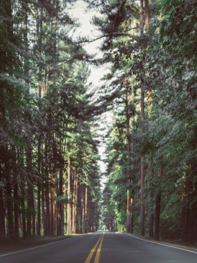 Kullanılabilir Chasm New York 