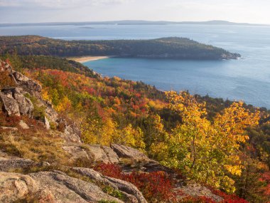 Gorham Dağı 'nın tepesinden Maine' in Acadia Ulusal Parkı 'na bakan yaprak manzaralı uzaktan kumsal manzaralı..