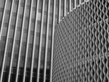 İş Binası Siyah ve Beyaz Mimarisi