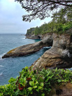 Washington Olimpiyat Ulusal Parkı 'nda Cape Pohpohlama