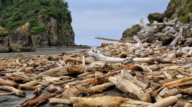 Ruby Beach, Driftwood Kütükleri, Olympic National Park, Pasifik Sahili, Washington