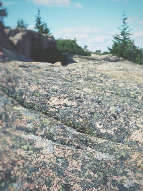 Adirondack Yüksek Tepesi Granit Arkaplan, New York 