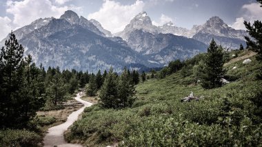 Grand Teton Dağları Ulusal Parkı Ormanı ve Buzulları ile, Wyoming