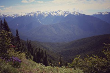 Kasırga Sırtı Dağ Sırası Manzarası, Olimpiyat Ulusal Parkı, Washington