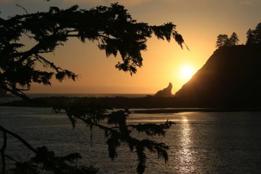 La Push Plajı Washington Günbatımı Sahilsel Görüntü Silueti 