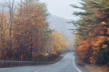 New York Adirondack Dağ Parkı 'nın arka planında Sonbahar Yaprakları