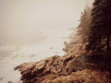 Maine 'deki Acadia Ulusal Parkı' nda Engebeli Kayalıklara Çarpan Dalgalar