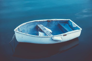 Maine 'de deniz küreği sakin mavi su