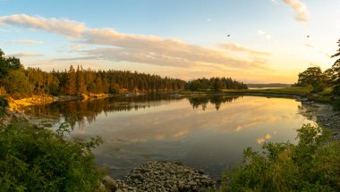 Geyik Adası Maine Manzarasında Güzel Gün Doğumu Yansıması