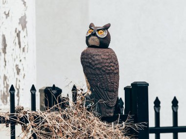 Baykuş heykeli siyah metal bir çitin üzerine tünemiş.