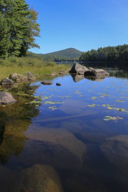 Açık mavi gökyüzü, sakin bir Adirondack Dağları gölünü çerçeveliyor.