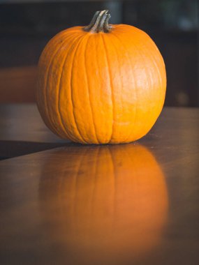 Cadılar Bayramı Güz Hasadı Kabak Kabakları