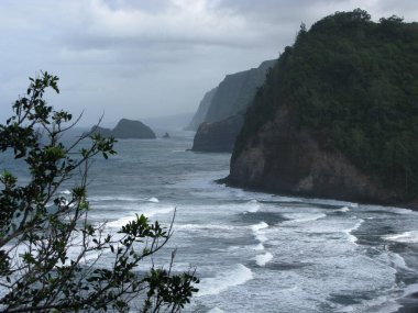 Hawaii Büyük Adası Volkanik Engebeli Uçurum Okyanusu Kıyısı