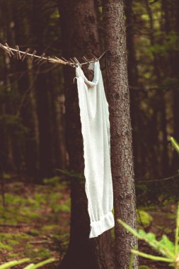 Havlu Giysileri Kurutma Temiz Hava Kampı Çamaşırhanesi Ormanda