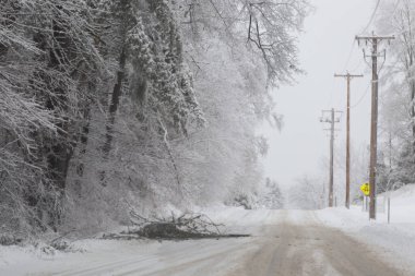 Karda Kış Yolculuğu ve Tehlikeli Hava