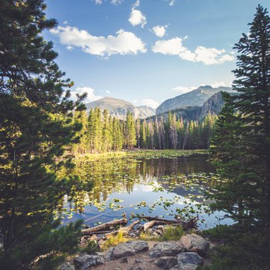 Nymph Gölü Rocky Dağı Ulusal Parkı Colorado