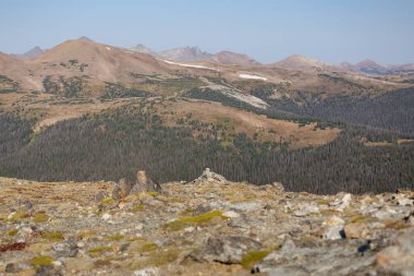 Rocky Dağı Ulusal Parkı Orman Yangınları Altında Colorado Yangınları