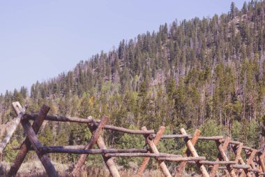 Colorado 'daki Rustik Ahşap Çit Rocky Dağları