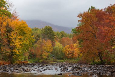 Spekülatör New York Adirondack Dağları Yeşillik ve Su Manzarası