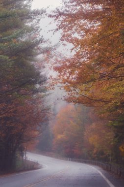 Foggy New York Adirondack Mountains in Fall  clipart