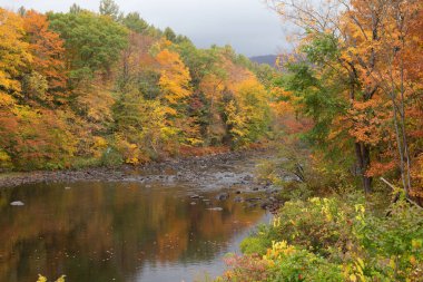 Spekülatör New York Adirondack Dağları Yeşillik ve Su Manzarası