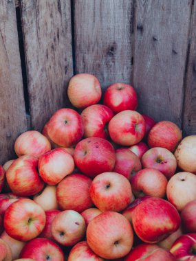 Sandık Arkaplanında Taze New York Kırmızı Elmaları