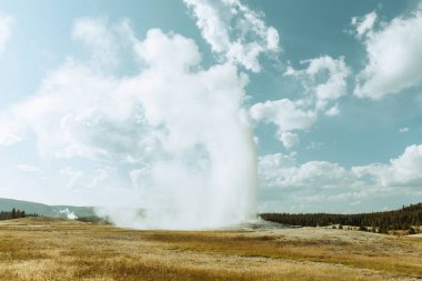 Sadık Gayzer Patlaması Yellowstone Ulusal Parkı Wyoming
