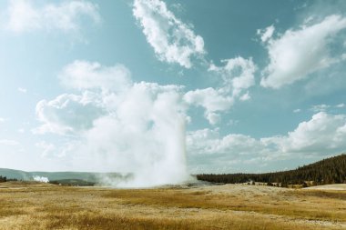 Sadık Gayzer Patlaması Yellowstone Ulusal Parkı Wyoming
