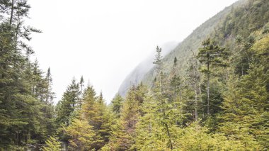 Çığ Gölü Adirondack Yürüyüşü New York
