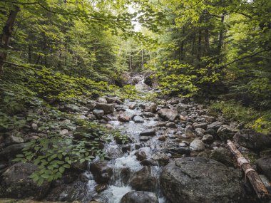 Çığ Gölü Adirondack Yürüyüşü New York