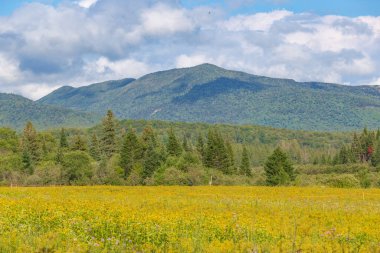 Adirondack Yüksek Tepeleri Keene New York Birleşik Devletleri Sonbaharda