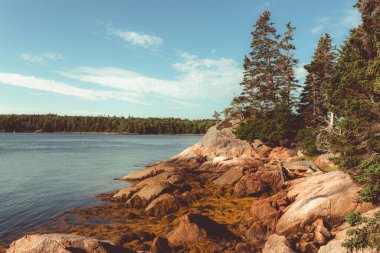 Maine New England Rocky Sahil Hattı Geyik Adası