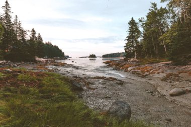 New England Geyik Adası 'ndaki dalgaların alçalması.