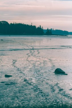 Low Tide Pink sky Reflection in Coastal Maine Deer Isle clipart