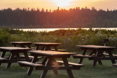 Sunset Piknik Masaları Maine 'de Çam Ağacı Siluetleriyle Suların Kıyısında