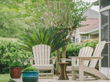 Adirondack sandalyeli ve Palm Trees 'li Güney Ev Avlusu