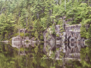 Küçük Uzun Gölet Tunk Dağı Franklin Cherryfield Maine