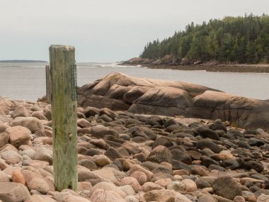 Acadia Ulusal Parkı Okyanus Yolu Rocky kıyısı Maine