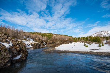Güney İzlanda, Haukafell 'in ormancılık bölgesinde kış günü.